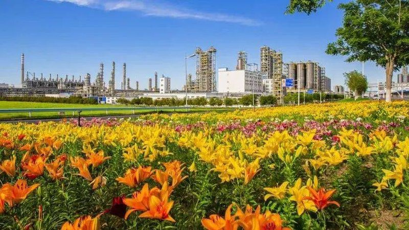 涂料增稠剂：揭秘其在涂料中的应用与选择